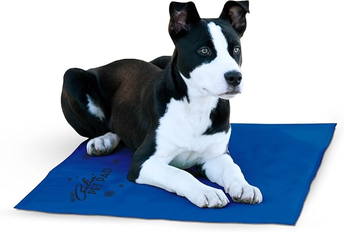 K&H Pet Products Coolin' Pet Pad Dog Mat, Portable Dog Cooling Mat by KHPetProducts