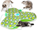 Interactive Cat Toys for Indoor Cats & Kittens by FUGODIWI