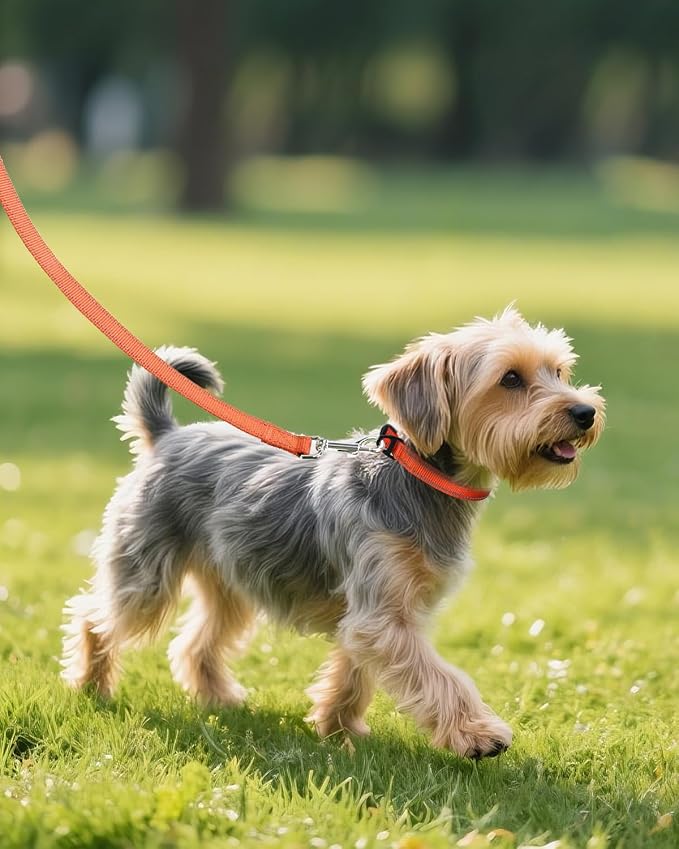 Joytale Small Dog Collar, Reflective and Adjustable Nylon Collar - Image 6