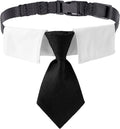 ADOGGYGO Adjustable Dog Neck Tie Collar Pet Collar by ADOGGYGO