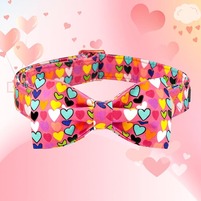 Lionheart glory Valentine's Dog Collar, Dog Collars - Image 2