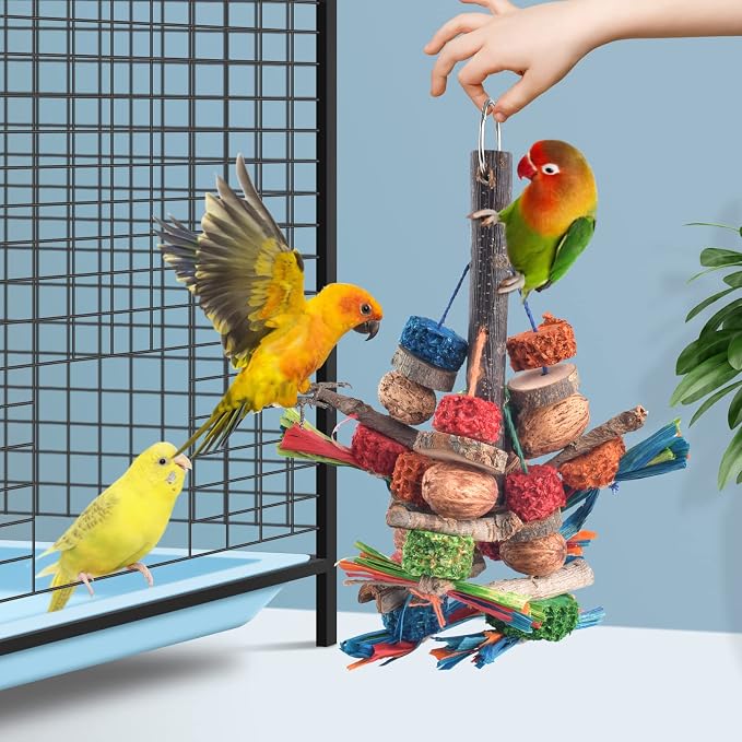 Bissap Bird Chew Toys, Natural Bark Corncob Nuts Parrot Toys and Treats - Image 5