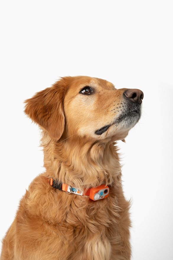 MS-5 Designer Series, Premium Performance Automatic Pet Door Collar by High - Image 2