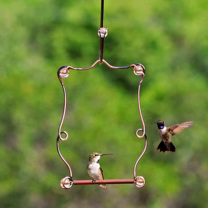 Perky-Pet Copper Beaded Hummingbird Swing - Image 8