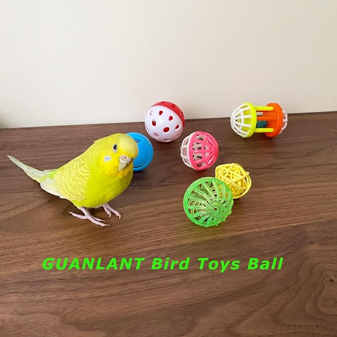 6pcs Foraging Ball Bird Toys Conures Feeder Toys Parakeets Foot Talon Toy - Image 2