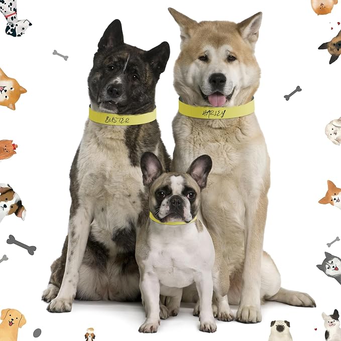 500 Count 20inch Adjustable Paper Dog Collars - Image 5