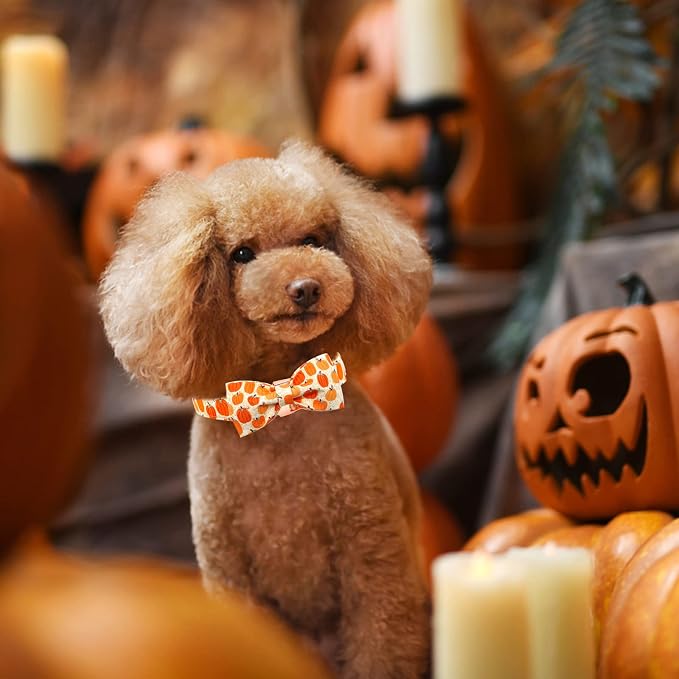 Dog Collar - Halloween Pumpkin Bowtie Dog Collar Gift Soft Bow Collar Pet - Image 6