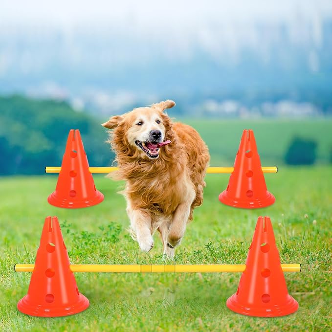 10 Sets Dog Agility Hurdle Cone Set 20 Pcs Exercise Cones - Image 6