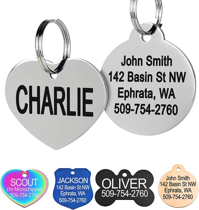 GoTags Stainless Steel Pet ID Tags, Personalized Dog Tags and Cat Tags by GoTags