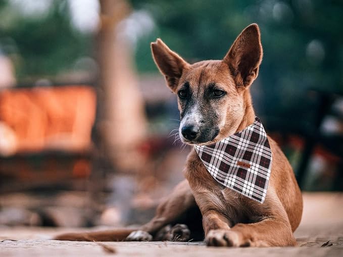 Lionet Paws Dog Bandana Washable Cotton Handkerchief Scarf Triangle Bandana - Image 6