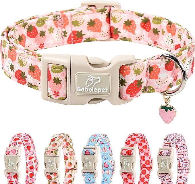 Strawberry Dog Collar for Medium Dogs by Babolepet
