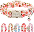 Strawberry Dog Collar for Large Dogs by Babolepet