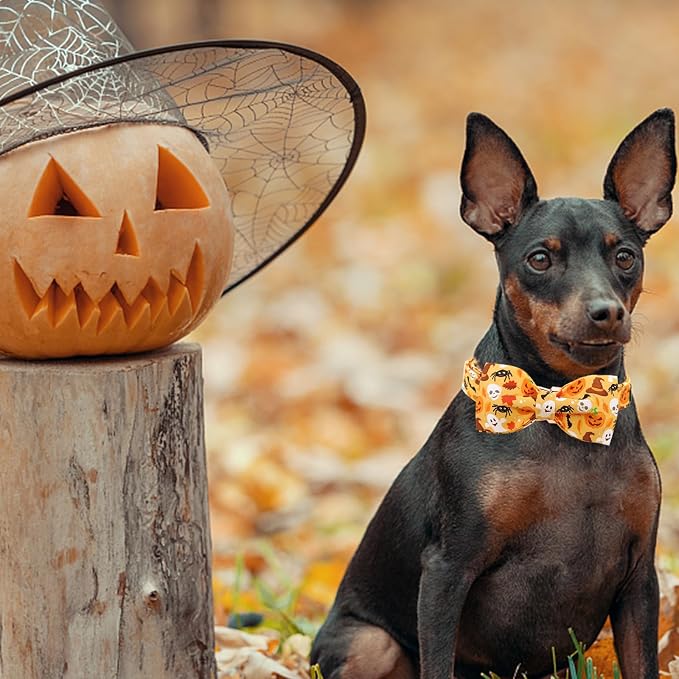 Halloween Dog Collar, Pet Collar Bow Fall Pet Collar Girl Boy Holiday Collar - Image 6