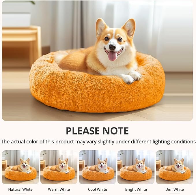 JOLLYVOGUE Calming Dog Bed for Small Dogs - Image 8