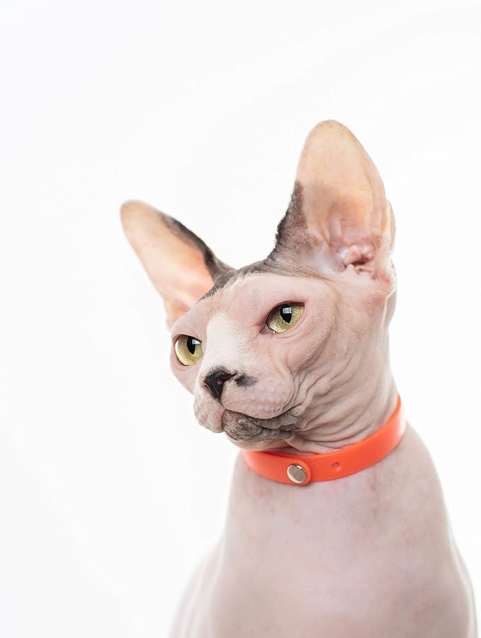 Rubber Cat Collar - Image 5