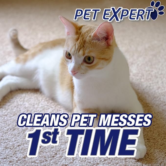 Resolve Pet Expert Stain and Odor Remover, Carpet Cleaner, Pet Stain andOdor - Image 4