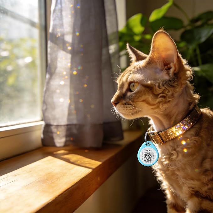 The Multi-Cat Household Kit: 5 Universal QR ID Tags. A Complete Set - Image 7