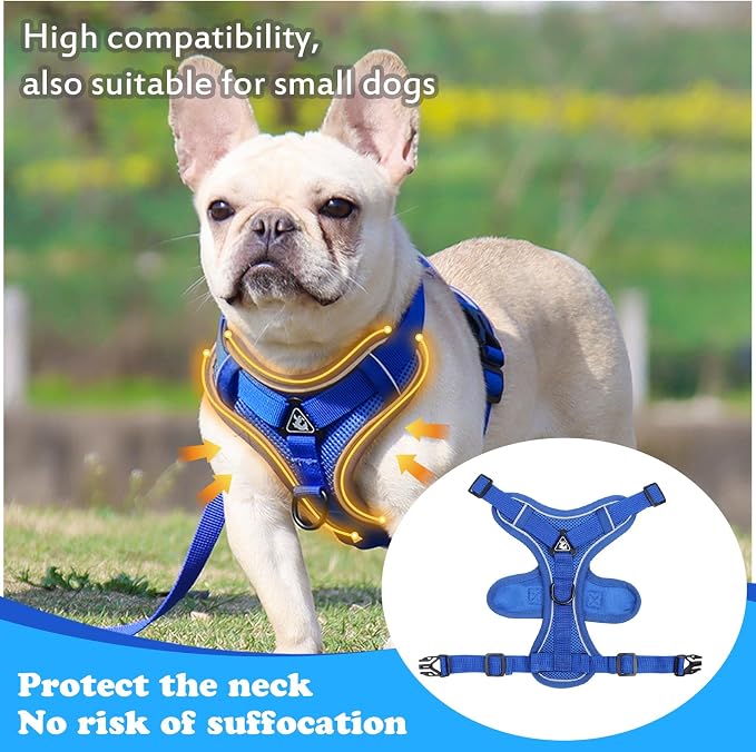 Escape Proof Cat Harness and Leash Set - Image 4