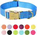 Nylon Dog Collar by Babolepet