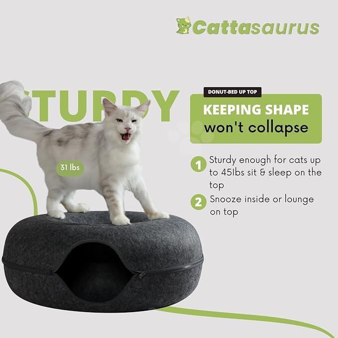 Cattasaurus Peekaboo Cat Cave Donut - Image 2