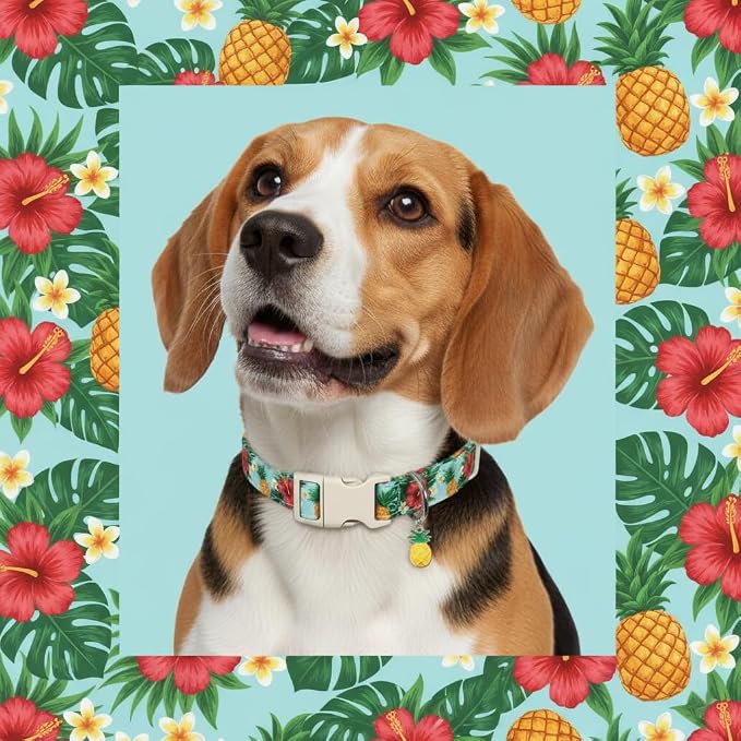 Summer Dog Collar with Tropical Pattern, Cute Dog Collar - Image 7