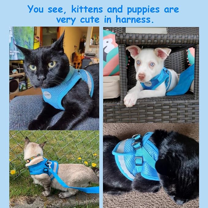 Cat Harnesses and Puppy Harness - Image 3