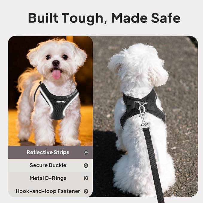PetiFine Step in Small Dog Harness and Leash Set, Breathable All Weather Air - Image 4
