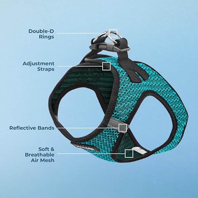 Best Pet Supplies - Image 3