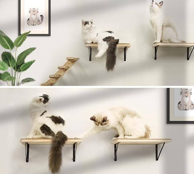 Cat Wall Shelves & Stairs - Image 2