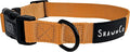 ShawnCo Dream Walk Dog Collar- Premium, Adjustable and Comfortable Pet Collar by SHAWNCO