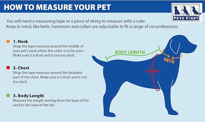 Pets First NFL DOG BANDANA - Image 4