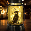 kyoryuger Rottweiler Gifts for Women/Men Rottweiler Solar Lanterns Dog Mom by kyoryuger