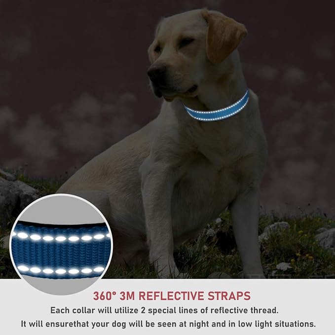 Reflective Dog Collar with Buckle Adjustable Safety Nylon Collars - Image 4