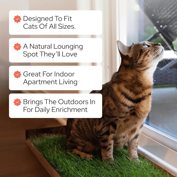 Kitty Lawn Real Grass Cat Window Perch - Image 4