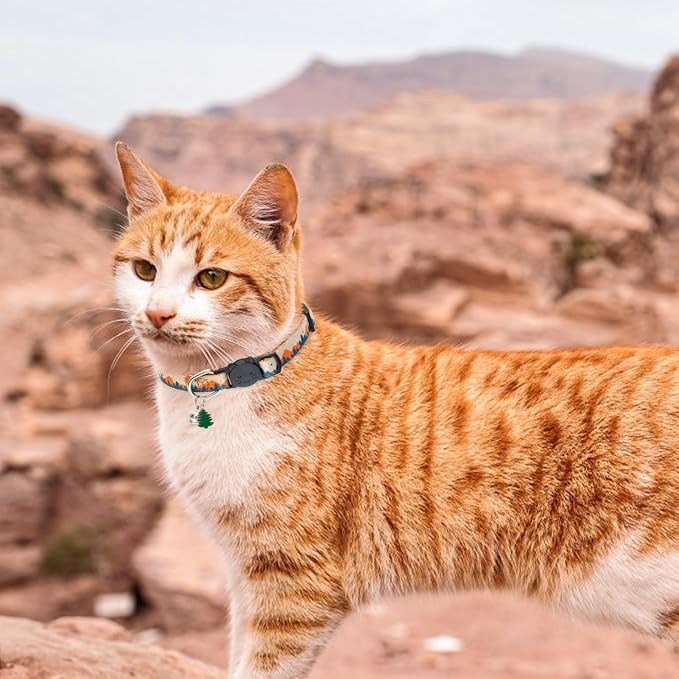 SCENEREAL Breakaway Cat Collars - Image 6