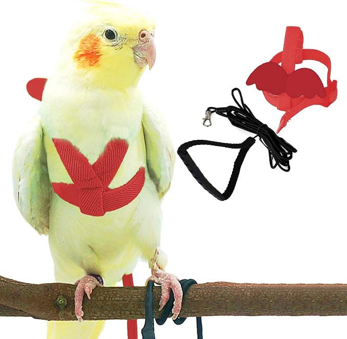 Dnoifne Pet Parrot Bird Harness and Leash, Adjustable Training Design Anti-Bite by Dnoifne