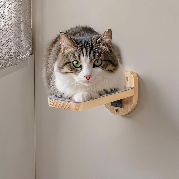 ESPETS Set of 3 Natural Wood Cat Wall Steps Floating Ladder Stairs- Wall - Image 6
