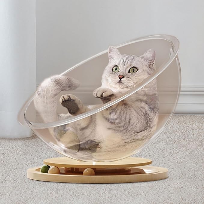 Space Capsule Cat Transparnt Cat House Set - Image 5