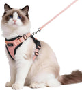 rabbitgoo Cat Harness and Leash by rabbitgoo