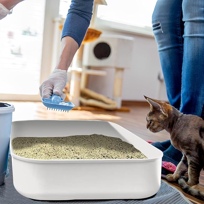 Small Litter Box, Plastic Kitten Litter Box, 13.9 x 9.8 x 3 Inch Open Litter Box - Image 6