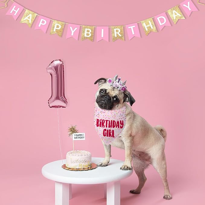 Birthday Girl Dog Bandanas 1 Pack, HBD Pet Scarves - Image 5