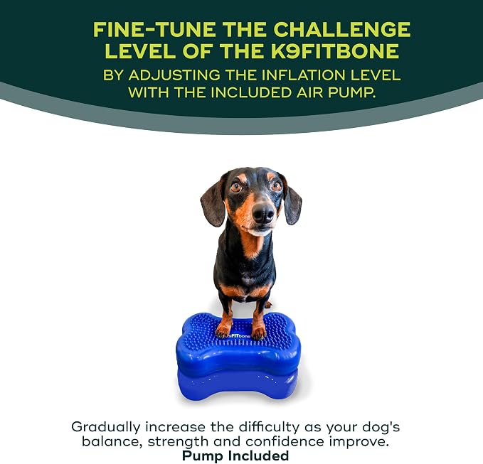 FitPAWS® K9FITbone® - Image 5