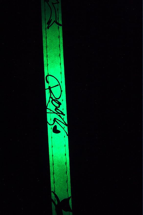 Rogz Glow in the Dark Reflective Cat Collar - Image 3