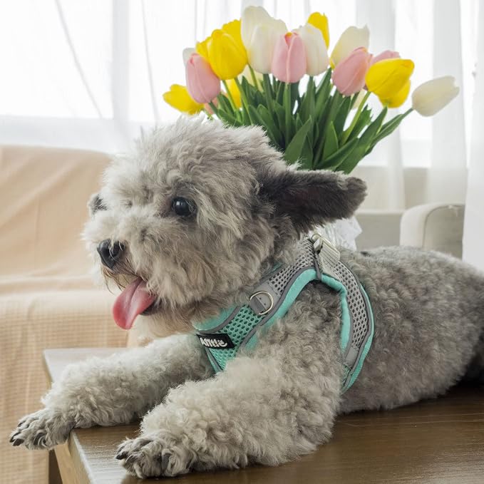 AIITLE Escape Proof Dog Harness - Image 6