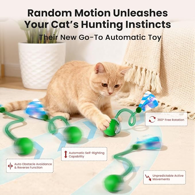 Rocfish Interactive Cat Toy for Indoor Cat, Smart Automatic Cat Chase Ball Toy - Image 4