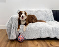 PJYuCien Dog Blankets for Medium Large Dogs Washable by PJYuGienPetGarden