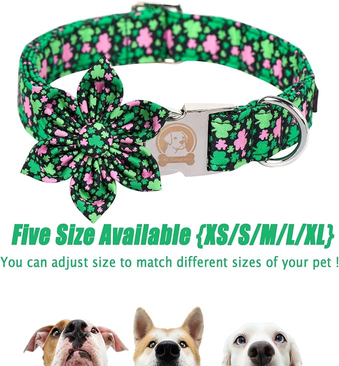 MR. CHUBBYFACE St.Patrick's Clover Dog Collar - Image 3