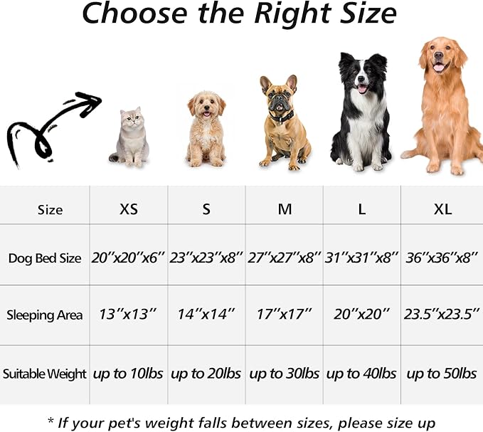 JOLLYVOGUE Calming Dog Bed for Small Dogs - Image 6