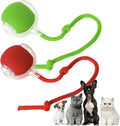 2 Packs Interactive Cat Toy, Electric DogBall Toy, Cat Toys by Unknown
