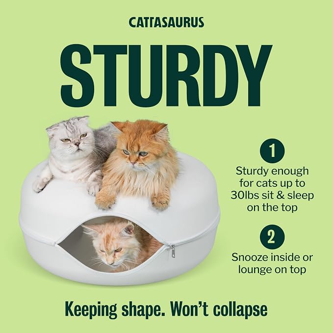 Cattasaurus Peekaboo Cat Cave Donut - Image 3